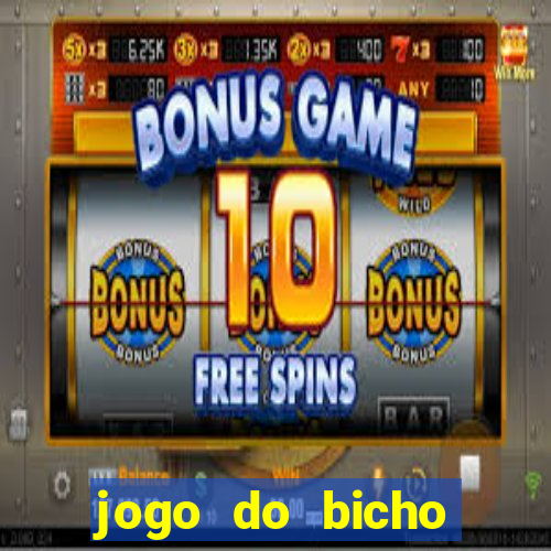 jogo do bicho crash bingo